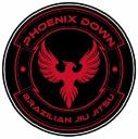 Phoenix Down Brazilian Jiu Jitsu logo